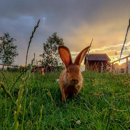 Camphouse Tatil Evi *